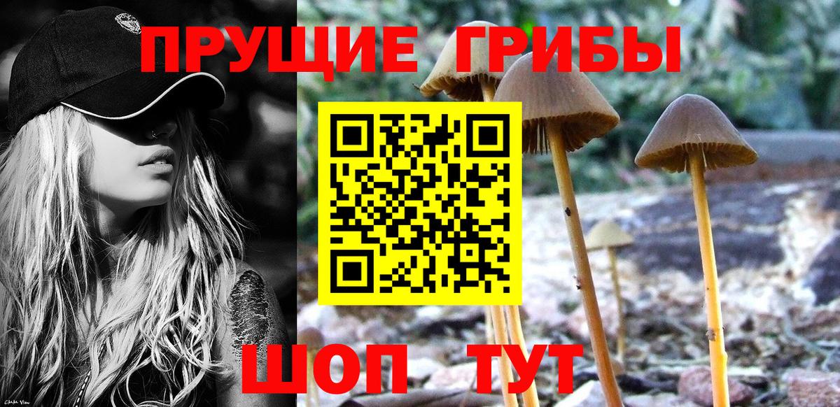 Галлюциногенные грибы мицелий  Вход с VPN  Галлюциногенные грибы прущие грибы  Волжский 